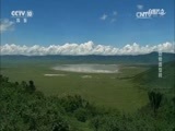 自然传奇 《自然传奇》 20170726 动物造型师