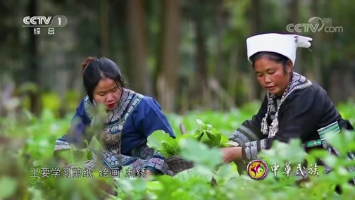 中华民族 《中华民族》 20190304 黔南绚歌 第一集 指尖的传承