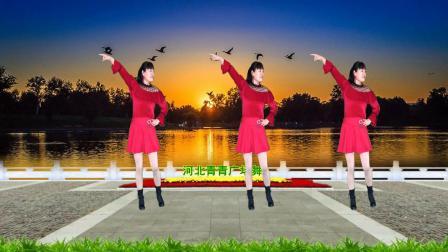 动感有趣广场舞《命里缺个你》32步附教学