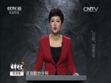 法律讲堂 《法律讲堂（生活版）》 20151220 “女神”遭算计