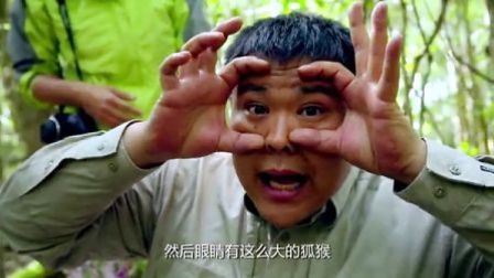 侣行 第二季 与狐猴共舞·马达加斯加