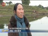 重庆新闻联播 《重庆新闻联播》 20180222