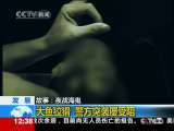 法治在线 法治在线 2010-01-10