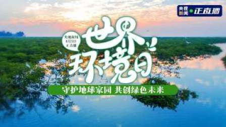 世界环境日丨守护地球家园 共创绿色未来