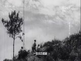走近科学 《走近科学》 20180403 低碳在行动（三）