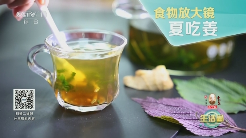 生活圈 《生活圈》 20240731