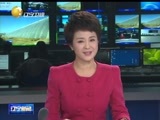 辽宁新闻 《辽宁新闻》 20141231