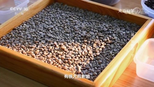 走近科学 《走近科学》 20190507 “智”取咖啡 （下）