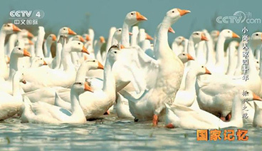 《国家记忆》 20181213 《小岗人家四十年》系列 第四集 振兴之路
