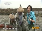 远方的家 《远方的家》特别节目——自然的馈赠 20150228