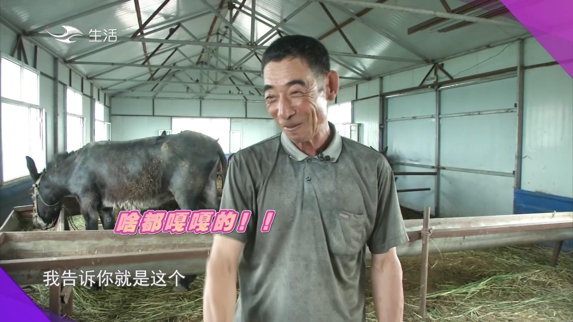 缘来不晚 2021 第56期