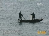 远方的家 江河万里行 第210集 丹江 秀美丹江 古韵飘香 20150217《远方的家》