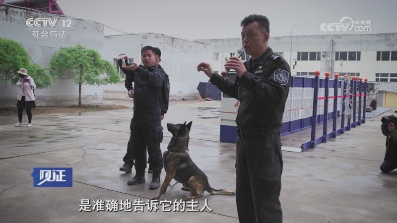 见证 《见证》 20190920 超能警犬（二）神犬伙伴