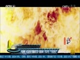 中国电影报道 《中国电影报道》 20170627
