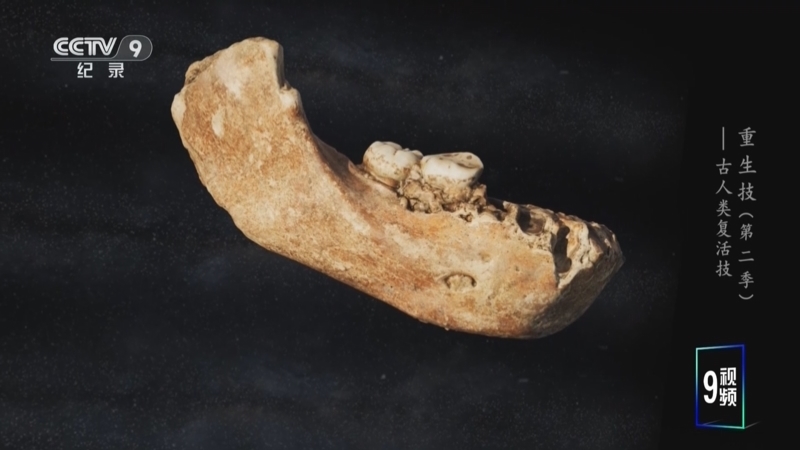 《重生技 第二季》 第8集 古人类复活技