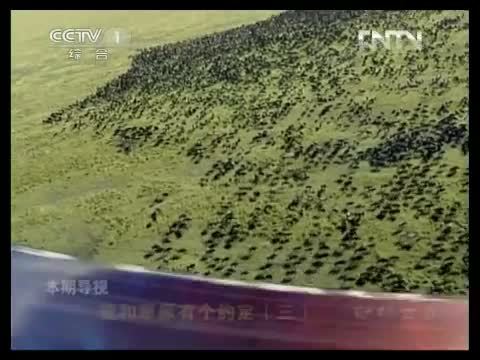动物世界 《动物世界》 20130426 我和草原有个约定（三）