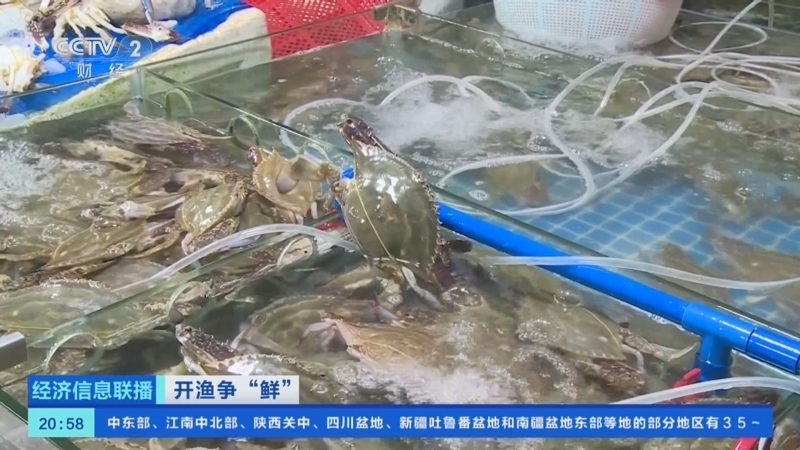 经济信息联播 《经济信息联播》 20250817