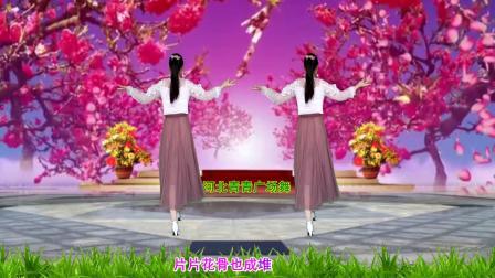 心醉DJ广场舞《梅花泪》32步演示分解