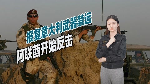 遭意大利武器禁运后，中东土豪下达最后通牒，军人必须全部离开