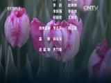 环球经济连线 《环球财经连线》 20160516