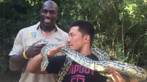 wwe美国职业摔角 WWE巨星参观布里斯班动物园 户泽阳玩high了