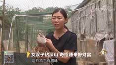 致富经 [致富经]女汉子钻深山 奇招赚来野财富 20180829