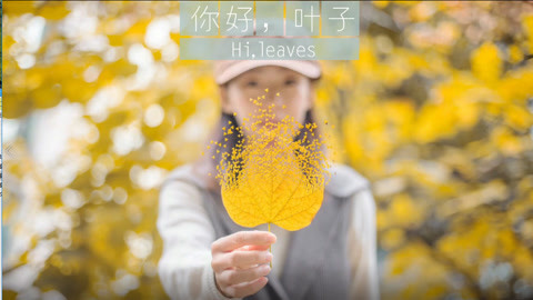 拍照自修室 你好，叶子