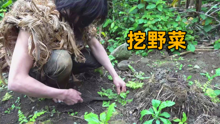 原始丛林人苏门答腊 第二季 越南丛林荒野生存，春天里大地苏醒，田地里长满野菜