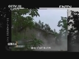 心理访谈 《心理访谈》 20130726 回归-儿子我要找到你（上）