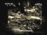 地理中国 《地理中国》 20131224 极限科考-神湖迷踪