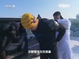 原来如此 《原来如此》 20151227 冰雪危情