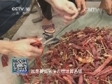 我爱发明 《我爱发明》 20140815 巧剪妙剥