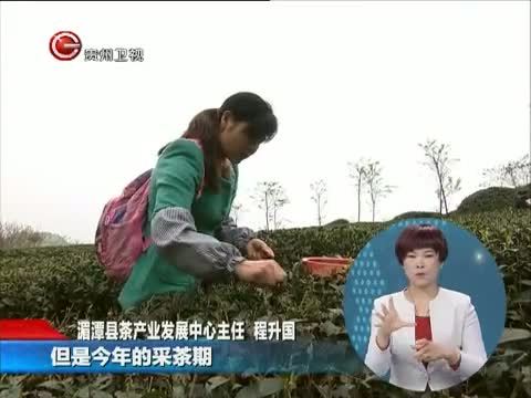 星期天报道 《星期天报道》 20150412