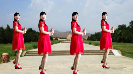 轻盈优美广场舞《若能比翼双双飞》舞姿优美