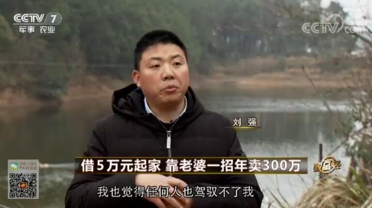 致富经 [致富经]借5万元起家 靠老婆一招年卖300万 20180409