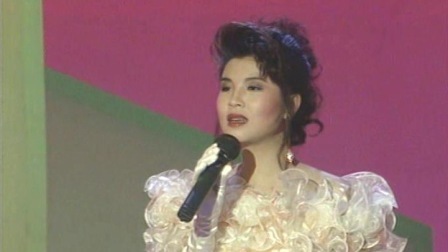 央视1991春晚 杭天琪甄妮《同一首歌》，满满都是经典的味道