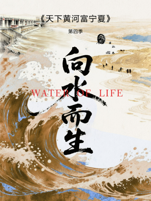 天下黄河富宁夏 第四季 海报
