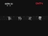 动物世界 《动物世界》 20120105