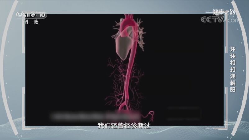 健康之路 《健康之路》 20201104 环环相扣迎朝阳