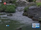 贵州新闻联播 《贵州新闻联播》 20170517