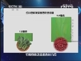 健康之路 《健康之路》 20130518 要长寿 多吃豆 （四）