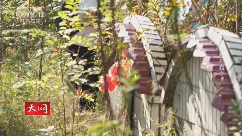 《天网》 20260209 隐形指令