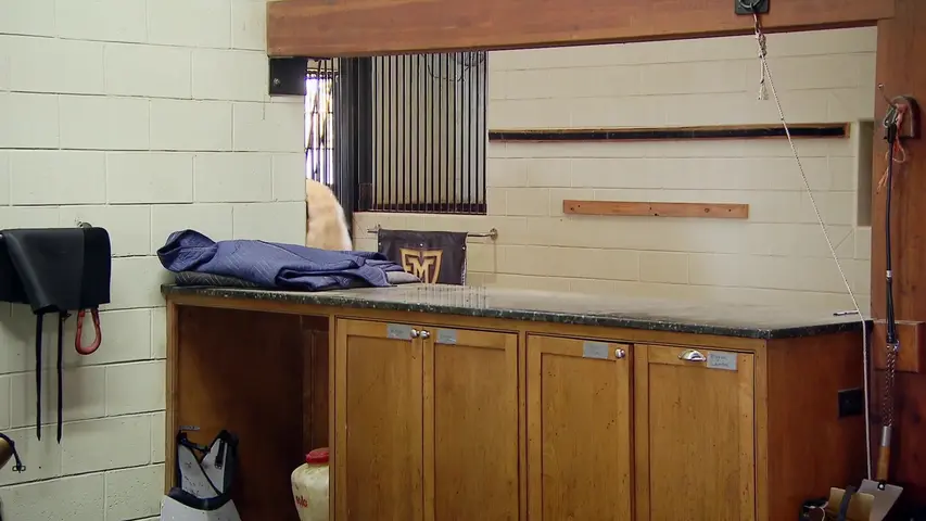 《全甲骑枪比武》第5集