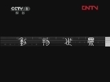 动物世界 《动物世界》 20120106