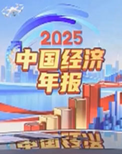 2025中国经济年报 海报