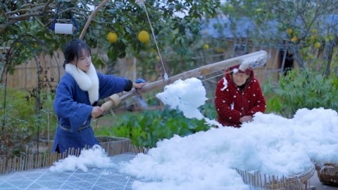 李子柒古香古食 棉花的一生呐~