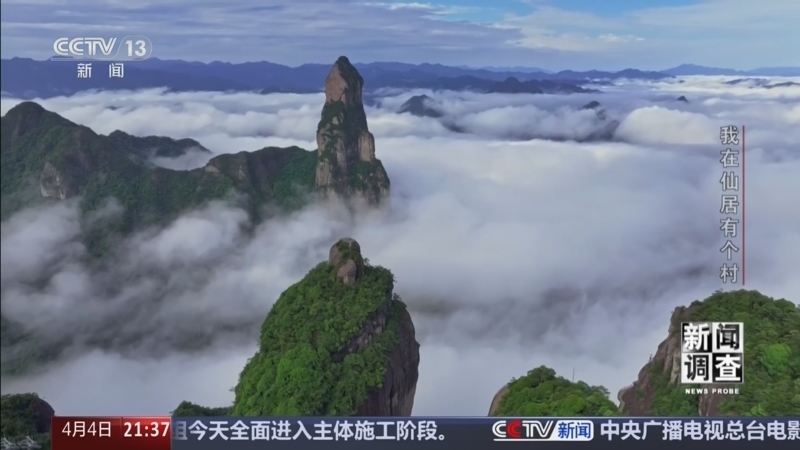 《新闻调查》 20260404 我在仙居有个村