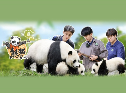 第9期：实习生将再次野培实习