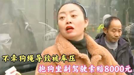 品人生百味第二季 不牵狗绳导致被车压，抱狗坐副驾驶索赔8千元，女子：我的狗很乖