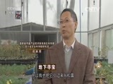 致富经 《致富经》 20151229 地下寻宝